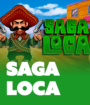 Bingo Saga Loca