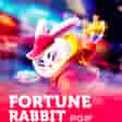 Fortune Rabbit
