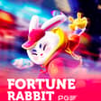 Fortune Rabbit