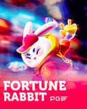 Fortune Rabbit