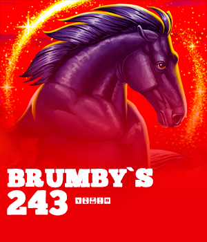 Brumby's 243