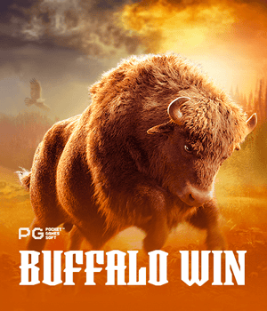 Buffalo Win