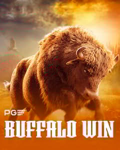 Buffalo Win