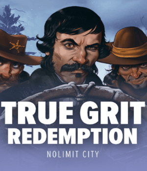 Imagem do jogo True Grit Redemption