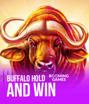 Imagem do jogo Buffalo Hold and Win