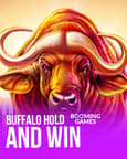 Buffalo Hold and Win