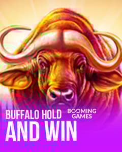 Buffalo Hold and Win