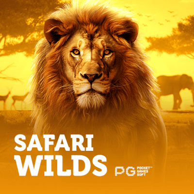 Safari Wilds