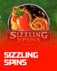 Sizzling Spins