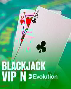 Blackjack VIP N
