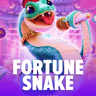 Fortune Snake