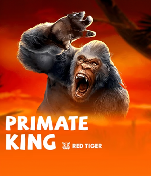Imagem do jogo Primate King