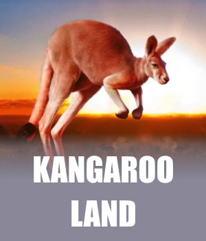 Imagem do jogo Kangaroo Land