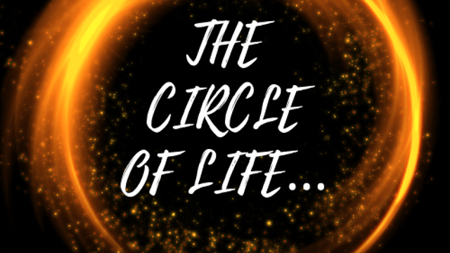 The Circle of Life - Novelli Stage School 