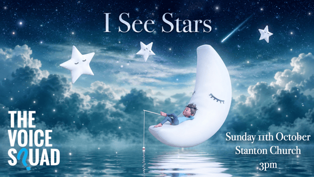 The Voice Squad - I See Stars - The Voice Squad Barmy Army