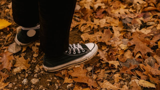 Wake Me Up When September Ends - Fox & Hare Cabaret