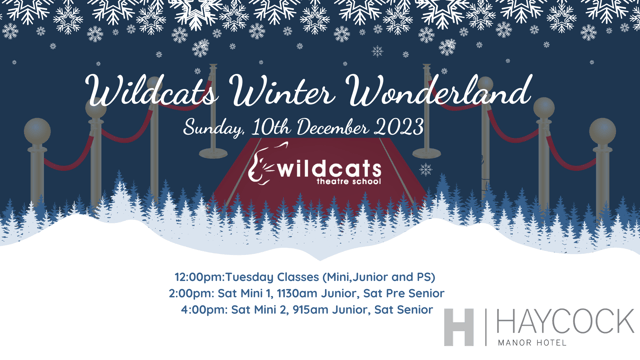 Wildcats Group Ltd - Wildcats Winter Wonderland Show 2023