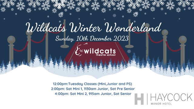 Wildcats Winter Wonderland Show 2023 - Wildcats Group Ltd