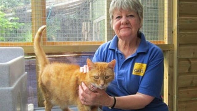 Animal rescue centre  - Nintendo universe and games world