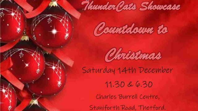 Count Down To Christmas  - ThunderCats Studio