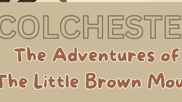 COLCHESTER Junior Jesters - The Adventures of the Little Brown Mouse - Jesters Theatre Academy