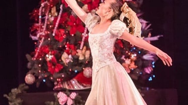 The Nutcracker - DAPA  - The Dancer's Academy of Performing Arts 