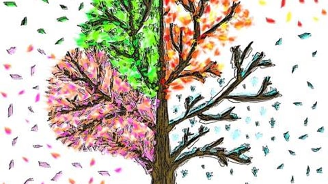 Once A Year... - The Jessica Barber Academy Of Dance