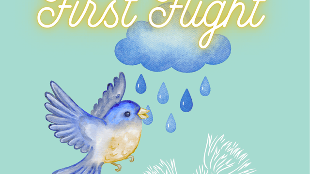 "Thistle's First Flight"  - Ascend Dance Dundee