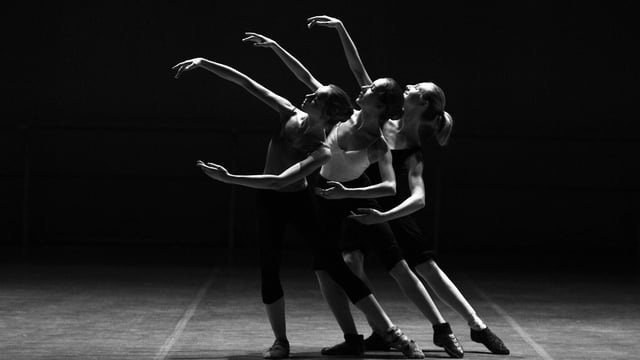 Tribe Icons Show - Tribe Performing Arts