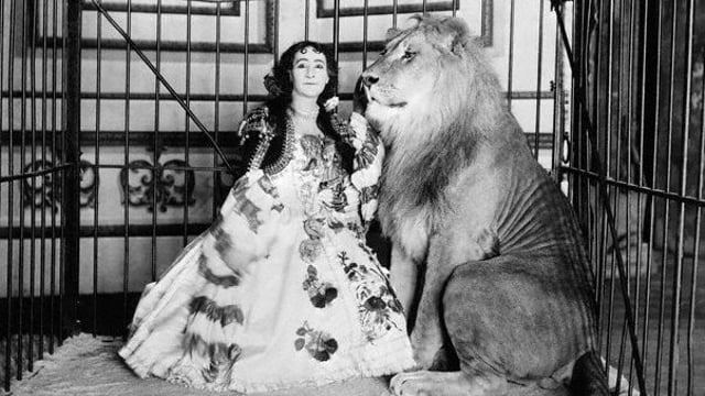 BLOOD AND BUTCHERY IN BEDMINSTER - Show Of Strength Theatre Company