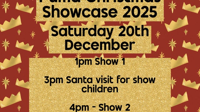 Majestic Theatre Arts - Puma Christmas Showcase