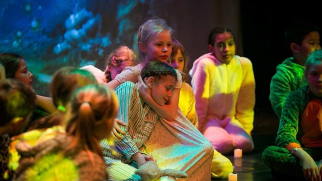 Freedom Academy's Robin Hood 2018 - Freedom Academy Ltd.