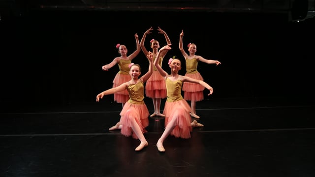 Berkeley City Ballet's Spring Concert 2025 - Excerpts from Swan Lake - Berkeley City Ballet