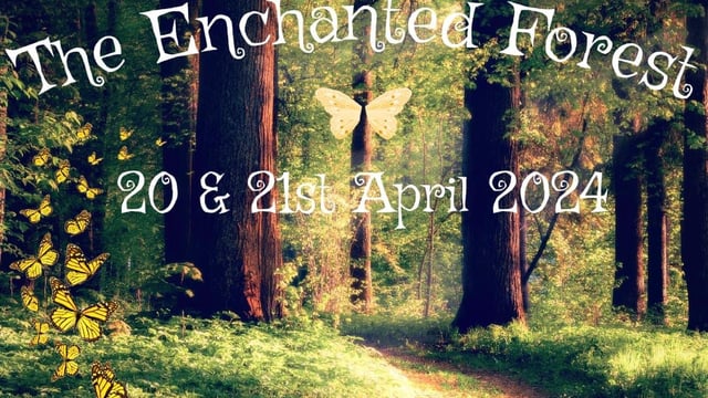 The Enchanted Forest - Sally Corbally School of Dance
