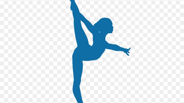 - TIPPERARY TOWN - JUNIOR GYMNASTICS 3-4PM -  - The Dancer's Academy of Performing Arts 