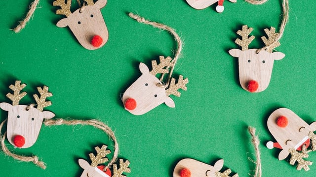 Purple Gecko Youths Christmas Extravaganza  - Purple Gecko Youth