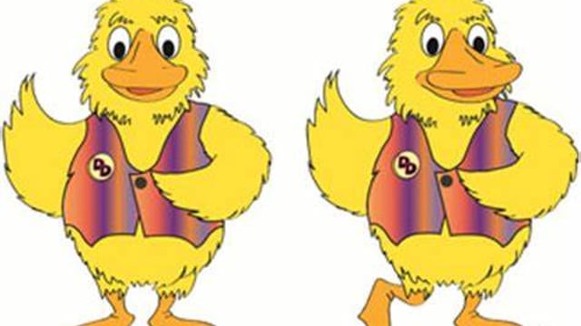 Disco Duck - Evolve Dance Academy