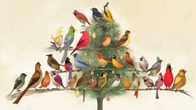 Marina School of Dance Presents 'The Twelve Days of Christmas' - Marina School of Dance