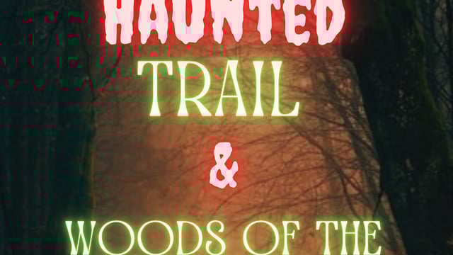 Woods of the Underworld  - Patillo Acres