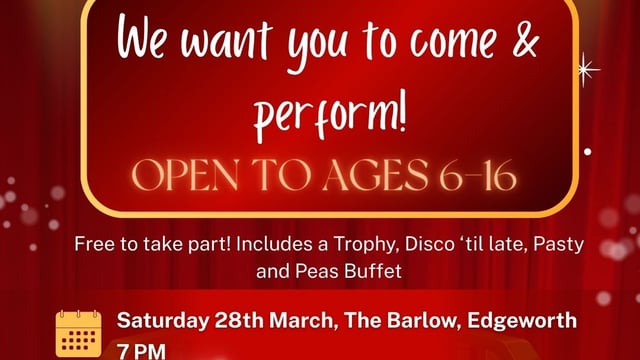 Stargaze Dance Academy - Stargaze Talent Show - Performance Ticket