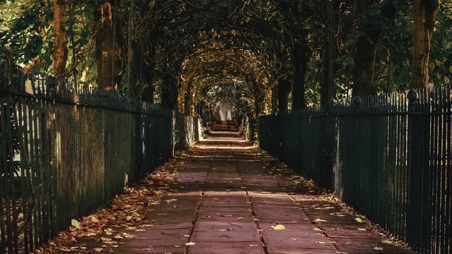 CRIME AND CRINOLINES IN CLIFTON - Show Of Strength Theatre Company