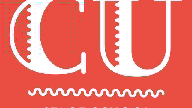 Curtain Upp Achievement Afternoon and Celebration Party - Curtain Upp