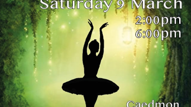 The Swan Princess - MESH Ballet