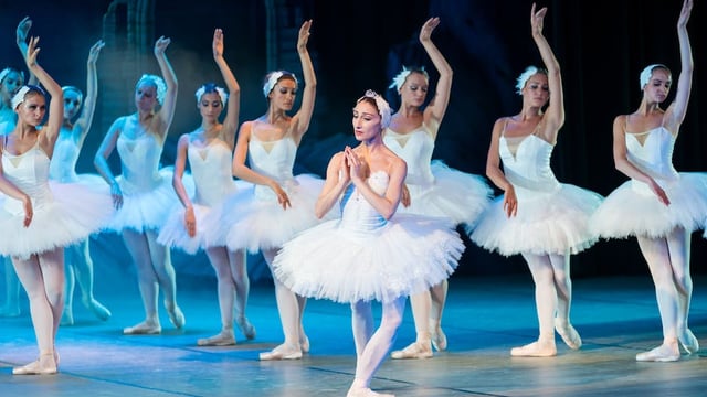 Ballet Show - Raviga Group
