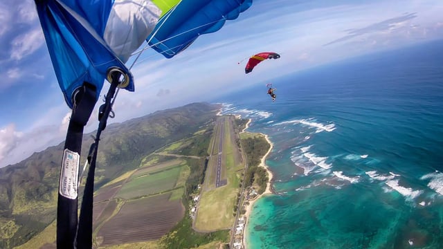 Alexis	key - SAFE LIVING LLC