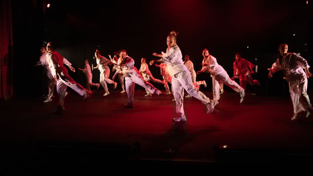 Step 2 Dance - Step 2 Dance The 20th Edition