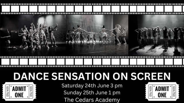 Dance Sensation On Screen - Dance Sensation School of Dance