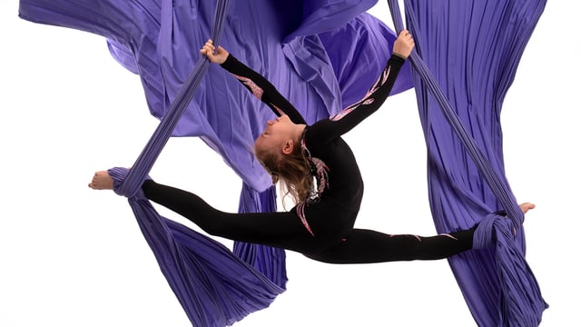 Animocromia - Corner 73 asd