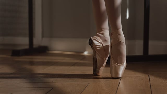 Showtime '26 - united school of dance