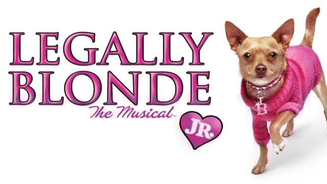 DC Stage and Song present 'Legally Blonde The Musical JR' - THE DANCE CONNECTION